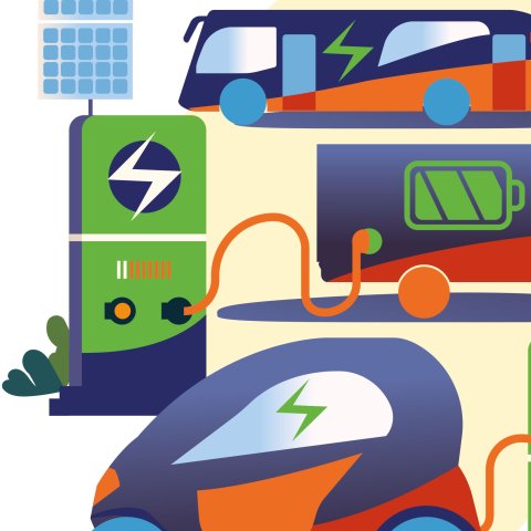 Illustrationen: Daria Domnikova